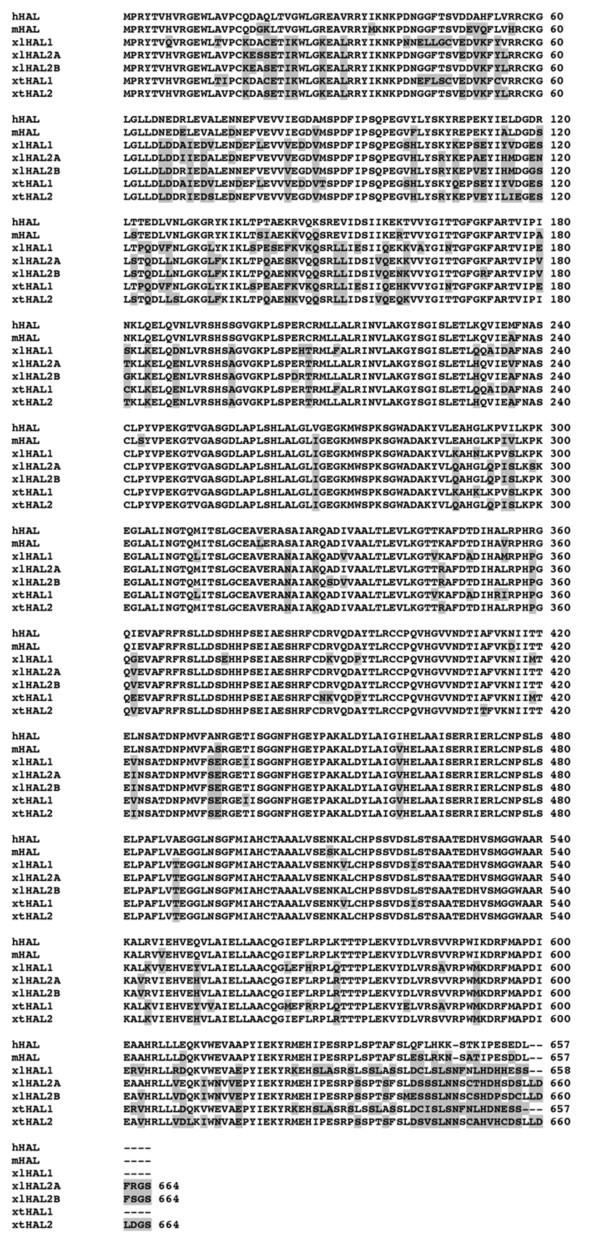 https://cdn.ncbi.nlm.nih.gov/pmc/blobs/8898/3874607/72c684ead4fc/2045-3701-3-43-1.jpg