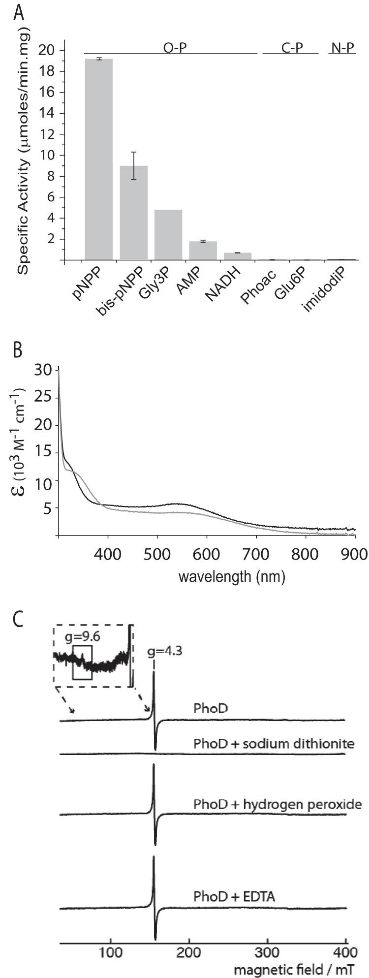 https://cdn.ncbi.nlm.nih.gov/pmc/blobs/8899/4223295/558e925f1990/zbc0481499800002.jpg