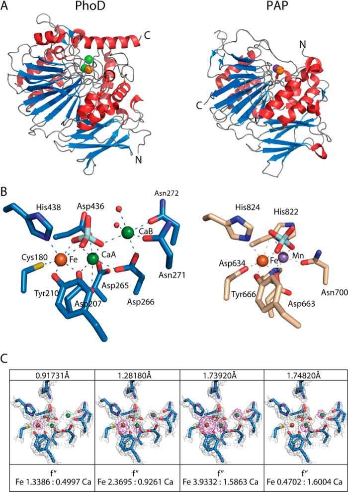 https://cdn.ncbi.nlm.nih.gov/pmc/blobs/8899/4223295/b7955b711f30/zbc0481499800003.jpg