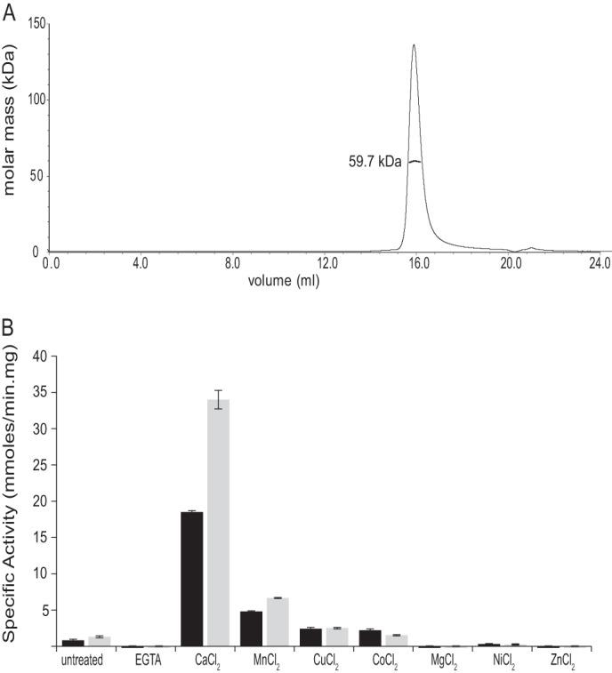 https://cdn.ncbi.nlm.nih.gov/pmc/blobs/8899/4223295/f1b5ee56890c/zbc0481499800001.jpg