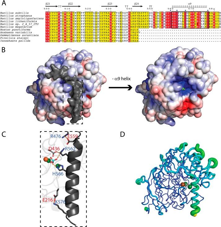 https://cdn.ncbi.nlm.nih.gov/pmc/blobs/8899/4223295/fef1cdd95792/zbc0481499800006.jpg