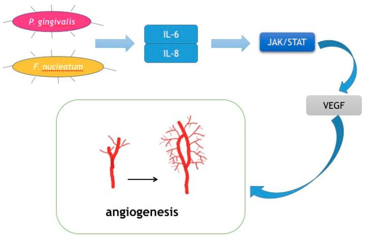 https://cdn.ncbi.nlm.nih.gov/pmc/blobs/889a/7600411/94fa590dfbc5/cancers-12-02797-g004.jpg