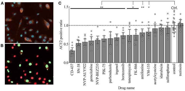 https://cdn.ncbi.nlm.nih.gov/pmc/blobs/889a/8989014/f96502a23398/fcvm-09-842641-g0004.jpg