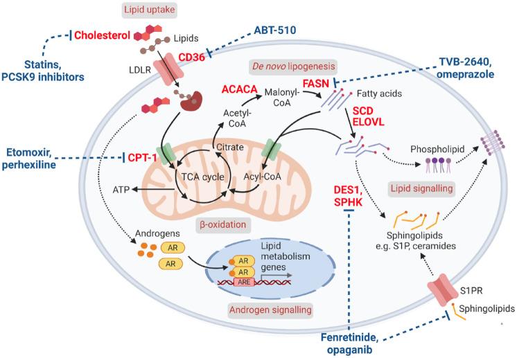 https://cdn.ncbi.nlm.nih.gov/pmc/blobs/889a/9893394/32456729d82e/10.1177_17588359231152839-fig1.jpg