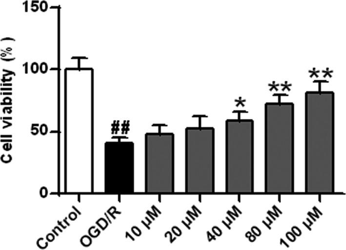 https://cdn.ncbi.nlm.nih.gov/pmc/blobs/889f/8323036/8089ab036381/BRB3-11-e02143-g002.jpg