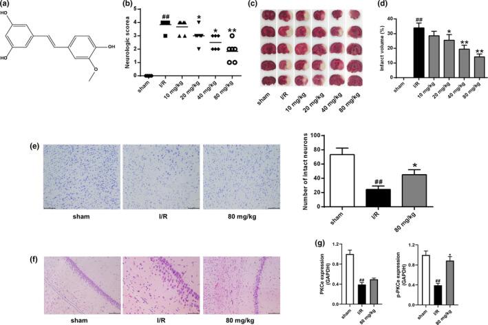 https://cdn.ncbi.nlm.nih.gov/pmc/blobs/889f/8323036/8e9b02adf8b0/BRB3-11-e02143-g005.jpg