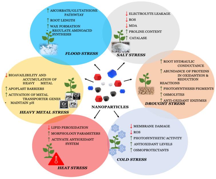 https://cdn.ncbi.nlm.nih.gov/pmc/blobs/889f/9865530/5839c71a8101/plants-12-00292-g003.jpg