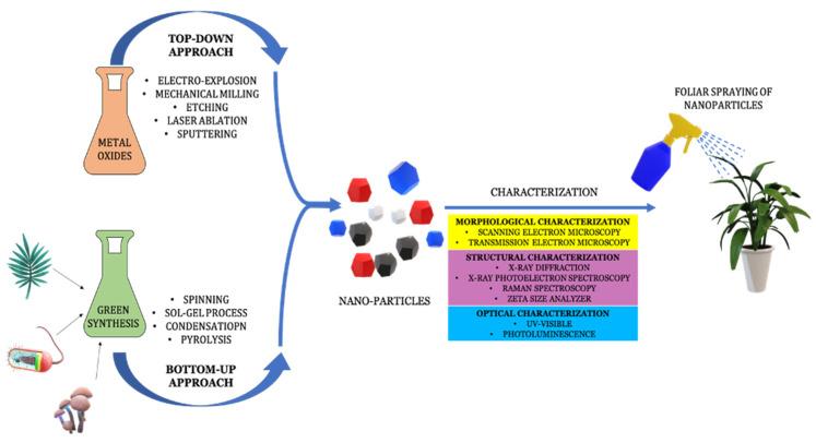 https://cdn.ncbi.nlm.nih.gov/pmc/blobs/889f/9865530/c53d96b196fe/plants-12-00292-g002.jpg