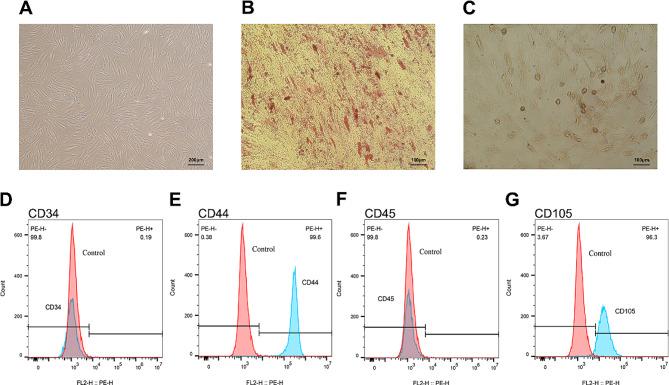 https://cdn.ncbi.nlm.nih.gov/pmc/blobs/88a0/10916329/6cf4b04002c8/12906_2024_4408_Fig1_HTML.jpg
