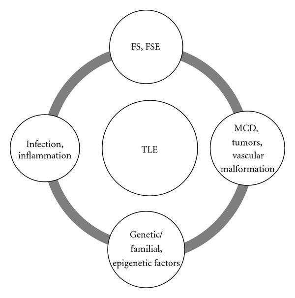 https://cdn.ncbi.nlm.nih.gov/pmc/blobs/88a2/3420774/cb7f4566e3d6/ERT2012-195073.001.jpg