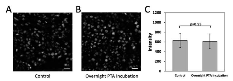 https://cdn.ncbi.nlm.nih.gov/pmc/blobs/88a4/8070642/39ac2dbc16d3/molecules-26-02206-g003.jpg