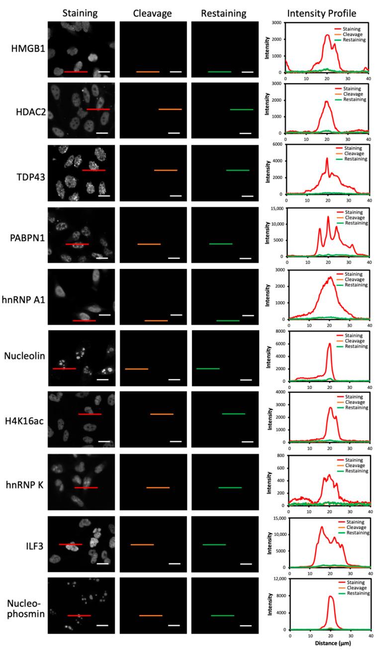 https://cdn.ncbi.nlm.nih.gov/pmc/blobs/88a4/8070642/c06e205b4b5f/molecules-26-02206-g004.jpg