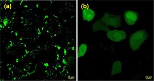 https://cdn.ncbi.nlm.nih.gov/pmc/blobs/88a5/8048964/03dd2ae36316/ANIE-60-7333-g006.jpg