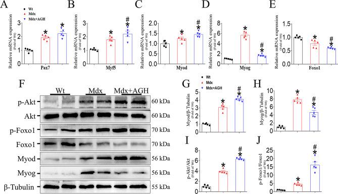 https://cdn.ncbi.nlm.nih.gov/pmc/blobs/88a7/11726948/26e416814d17/13395_2024_371_Fig7_HTML.jpg