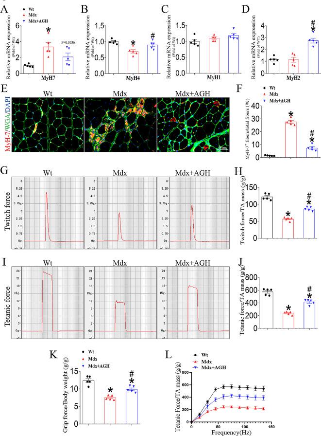 https://cdn.ncbi.nlm.nih.gov/pmc/blobs/88a7/11726948/4d3f80927484/13395_2024_371_Fig6_HTML.jpg