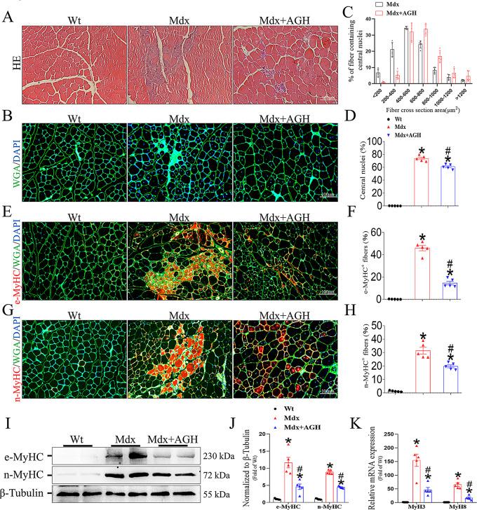 https://cdn.ncbi.nlm.nih.gov/pmc/blobs/88a7/11726948/8068bf3b6207/13395_2024_371_Fig5_HTML.jpg