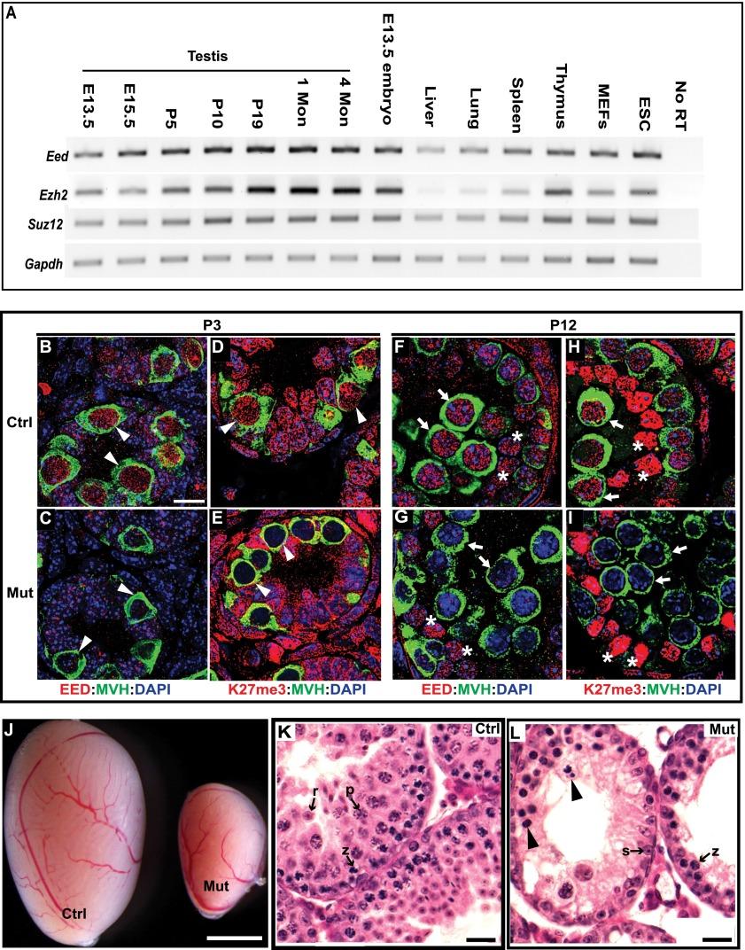 https://cdn.ncbi.nlm.nih.gov/pmc/blobs/88a7/4173155/60c93464700b/2056fig1.jpg