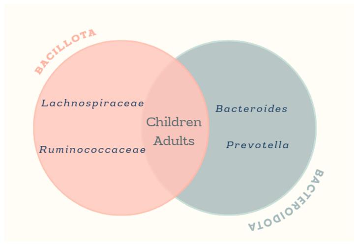 https://cdn.ncbi.nlm.nih.gov/pmc/blobs/88a8/12388073/b9d295fcc8ec/microorganisms-13-01727-g002.jpg