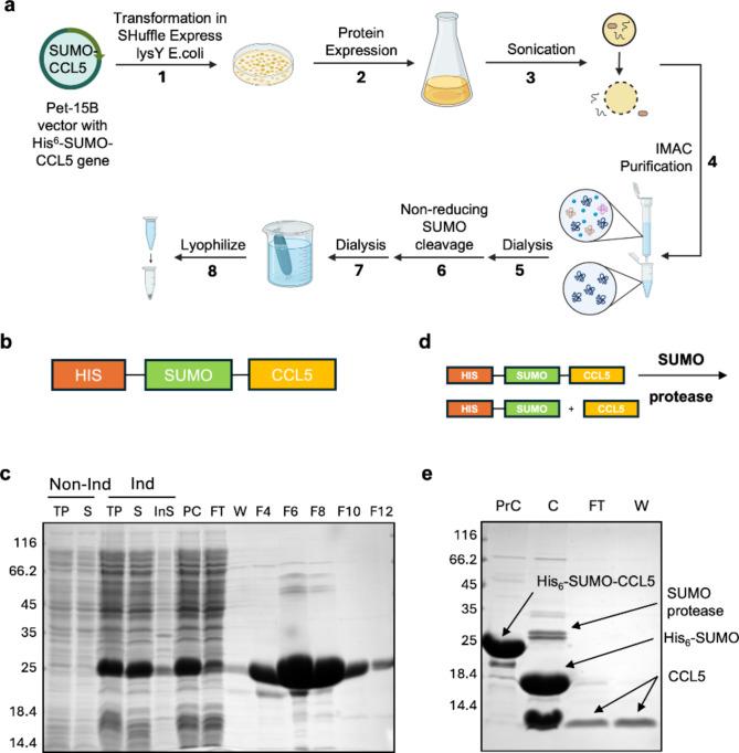 https://cdn.ncbi.nlm.nih.gov/pmc/blobs/88aa/11480376/257417350ba8/41598_2024_75327_Fig2_HTML.jpg