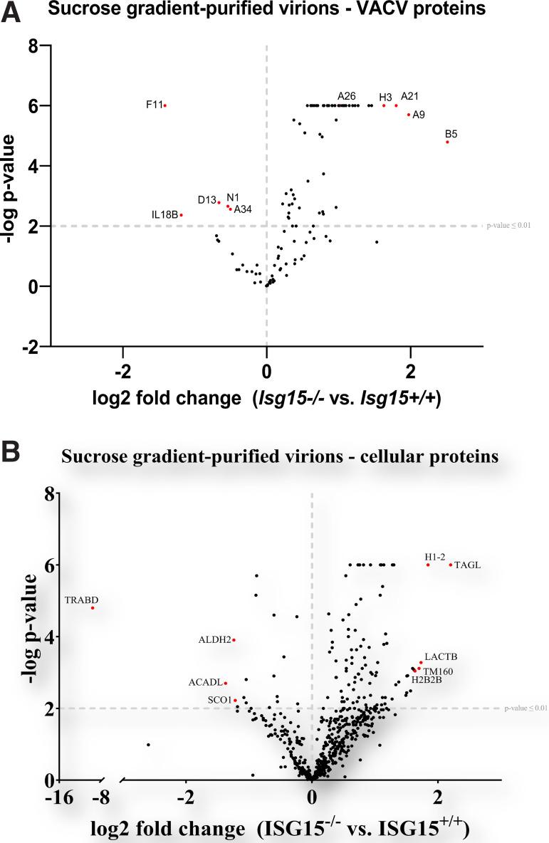 https://cdn.ncbi.nlm.nih.gov/pmc/blobs/88ae/10269806/e24436ff8cb9/spectrum.04508-22-f003.jpg