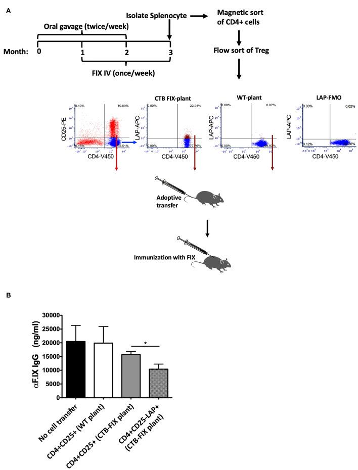 https://cdn.ncbi.nlm.nih.gov/pmc/blobs/88b0/7251037/5e95013494fa/fimmu-11-00844-g0001.jpg