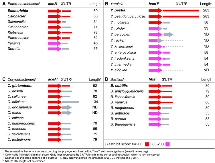 https://cdn.ncbi.nlm.nih.gov/pmc/blobs/88b1/7049690/1927cfb01098/gkaa047fig7.jpg