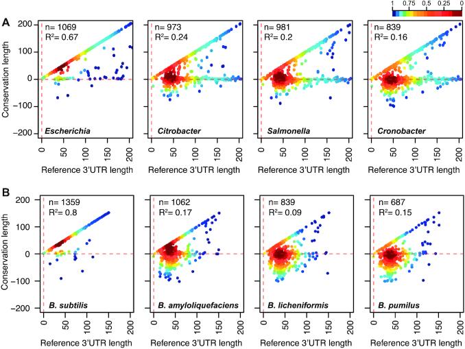 https://cdn.ncbi.nlm.nih.gov/pmc/blobs/88b1/7049690/a194b9567784/gkaa047fig8.jpg