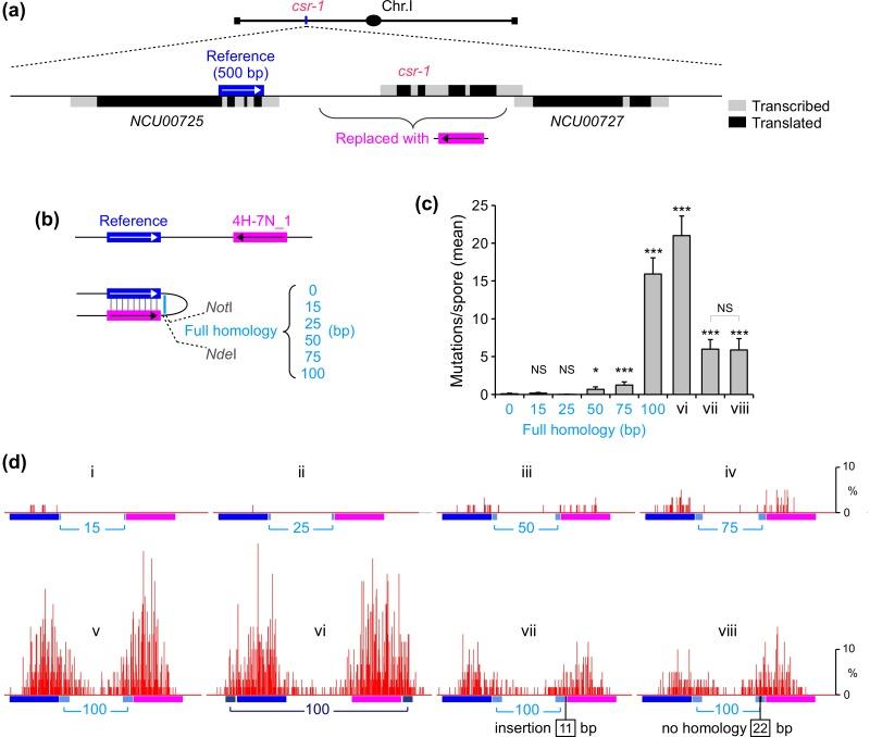 https://cdn.ncbi.nlm.nih.gov/pmc/blobs/88b2/4858203/785f52e5207f/pgen.1006015.g002.jpg