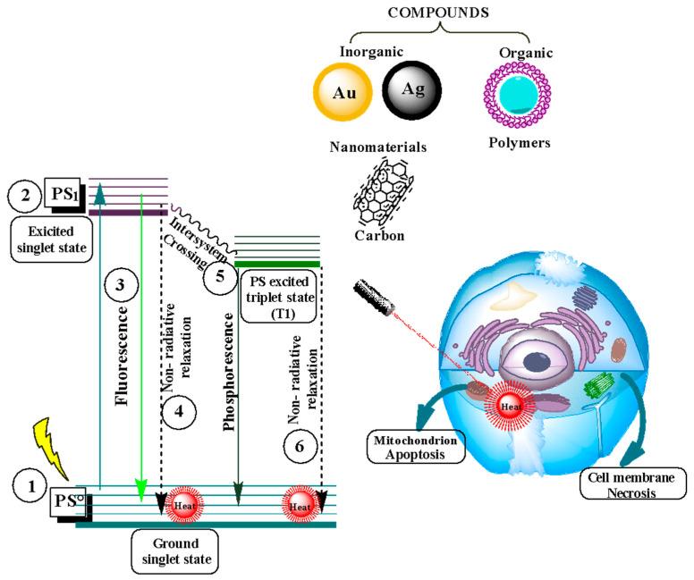 https://cdn.ncbi.nlm.nih.gov/pmc/blobs/88b3/10820493/0224accce153/nanomaterials-14-00186-g006.jpg