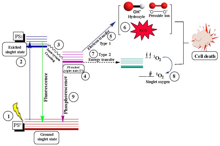 https://cdn.ncbi.nlm.nih.gov/pmc/blobs/88b3/10820493/3eaa700ab12b/nanomaterials-14-00186-g004.jpg