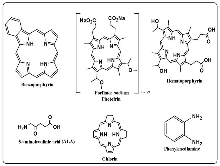 https://cdn.ncbi.nlm.nih.gov/pmc/blobs/88b3/10820493/5b9be2156cc4/nanomaterials-14-00186-g005.jpg
