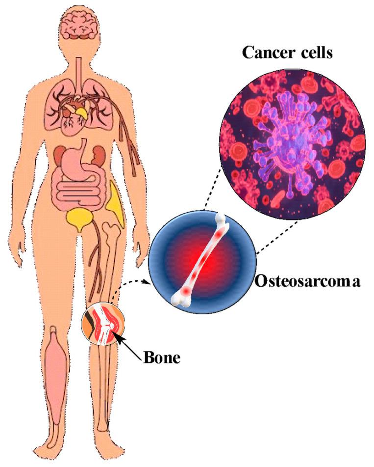 https://cdn.ncbi.nlm.nih.gov/pmc/blobs/88b3/10820493/c35bf8b7f27b/nanomaterials-14-00186-g002.jpg