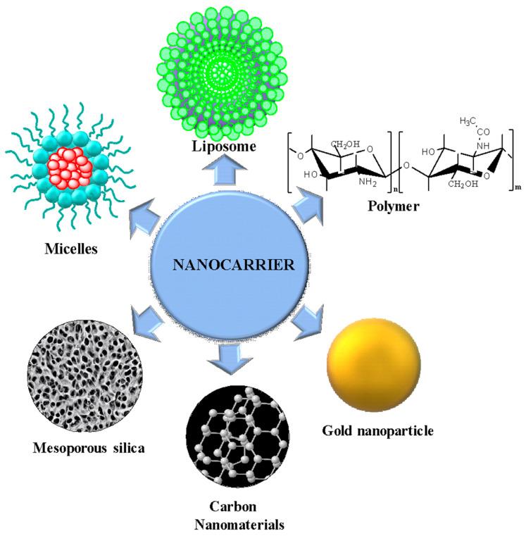 https://cdn.ncbi.nlm.nih.gov/pmc/blobs/88b3/10820493/cea06ab81ba2/nanomaterials-14-00186-g007.jpg