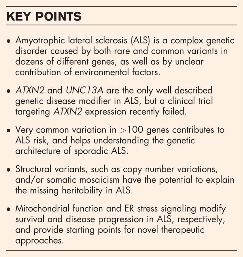 https://cdn.ncbi.nlm.nih.gov/pmc/blobs/88b4/12419016/c9493ea70afa/coneu-38-568-g001.jpg