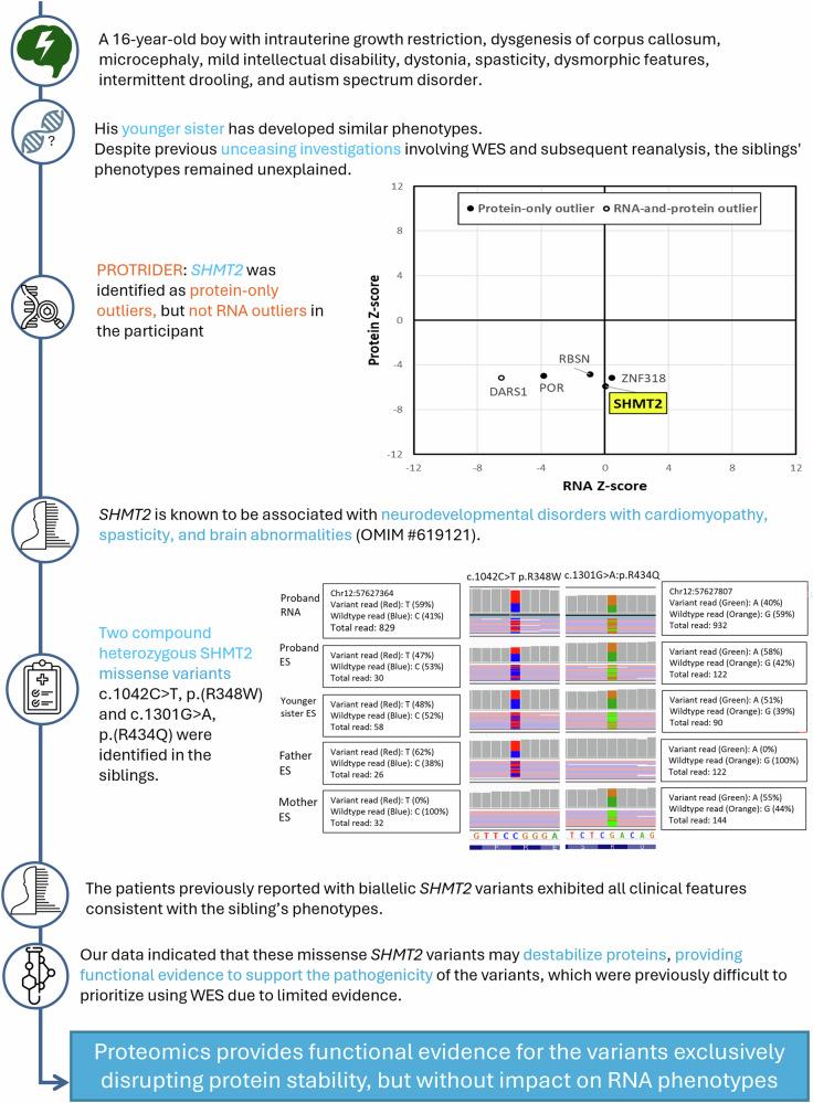 https://cdn.ncbi.nlm.nih.gov/pmc/blobs/88b5/12049463/7c04fee5e0e6/41525_2025_493_Fig4_HTML.jpg