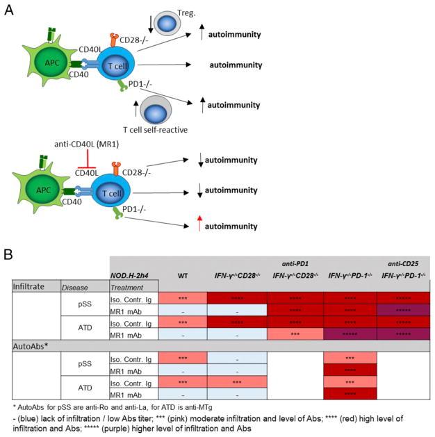 https://cdn.ncbi.nlm.nih.gov/pmc/blobs/88b6/6309431/cb9195f9b2b5/nihms980403f7.jpg