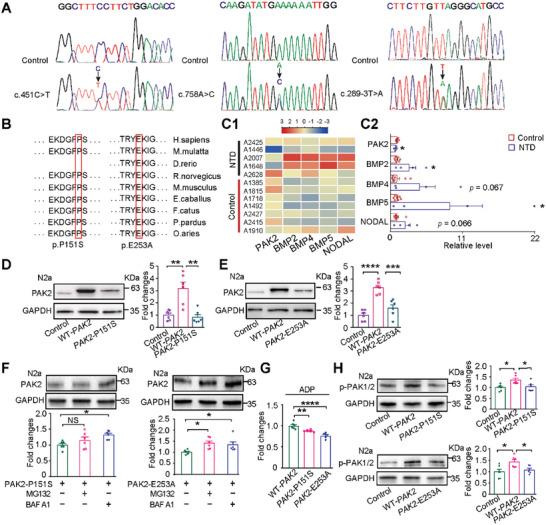 https://cdn.ncbi.nlm.nih.gov/pmc/blobs/88b6/9896034/4ccbc9498cb6/ADVS-10-2204018-g007.jpg