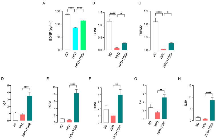 https://cdn.ncbi.nlm.nih.gov/pmc/blobs/88b7/12026167/e3c2f1ce4158/cells-14-00580-g008.jpg