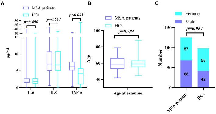 https://cdn.ncbi.nlm.nih.gov/pmc/blobs/88b9/11409425/6247ecd52e07/fncel-18-1459884-g001.jpg