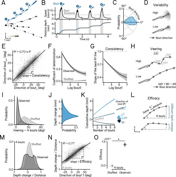 https://cdn.ncbi.nlm.nih.gov/pmc/blobs/88b9/11584107/9860f7499998/pbio.3002902.g001.jpg
