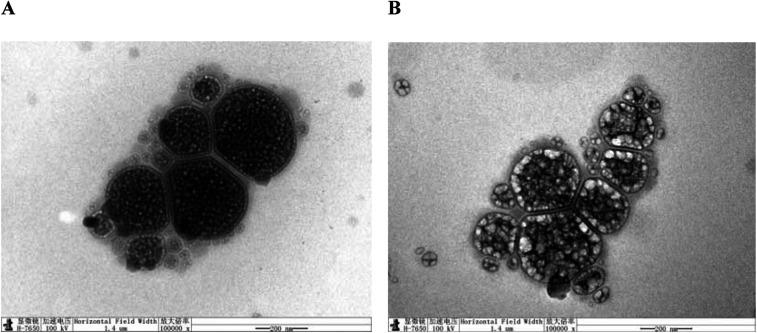 https://cdn.ncbi.nlm.nih.gov/pmc/blobs/88b9/9085862/3f58a5ad86a8/c8ra05838e-f3.jpg