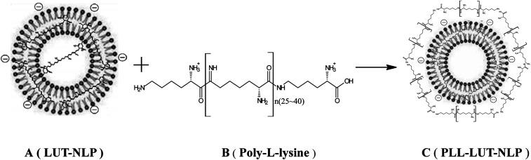 https://cdn.ncbi.nlm.nih.gov/pmc/blobs/88b9/9085862/568e74dea6e9/c8ra05838e-f1.jpg