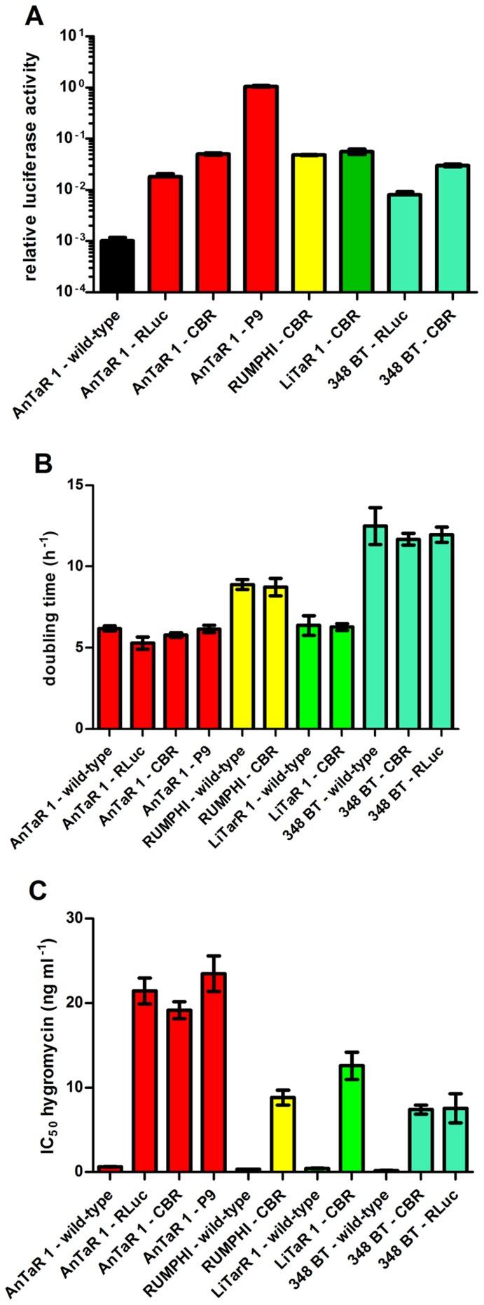 https://cdn.ncbi.nlm.nih.gov/pmc/blobs/88bb/4140678/e3a75f0c29e1/pntd.0003054.g002.jpg
