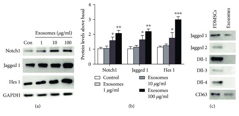 https://cdn.ncbi.nlm.nih.gov/pmc/blobs/88bd/6590601/496212cdc6ab/SCI2019-2402916.004.jpg