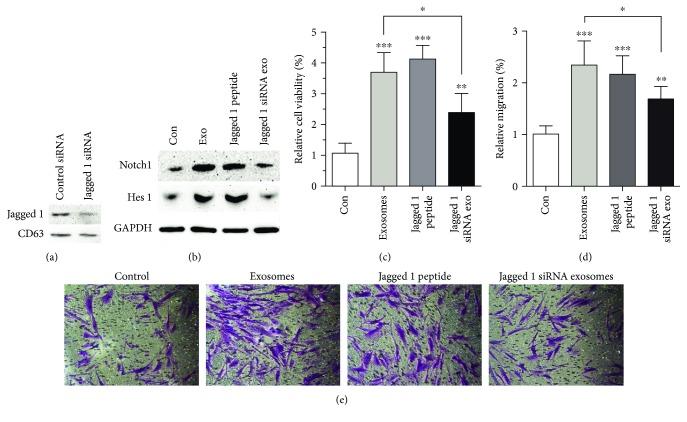 https://cdn.ncbi.nlm.nih.gov/pmc/blobs/88bd/6590601/7151cbcd2d62/SCI2019-2402916.006.jpg