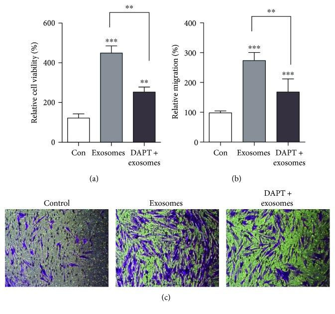 https://cdn.ncbi.nlm.nih.gov/pmc/blobs/88bd/6590601/d1566723bcd6/SCI2019-2402916.005.jpg
