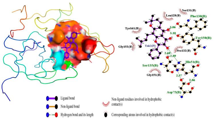 https://cdn.ncbi.nlm.nih.gov/pmc/blobs/88be/11703810/8380988fc578/fchem-12-1510029-g004.jpg