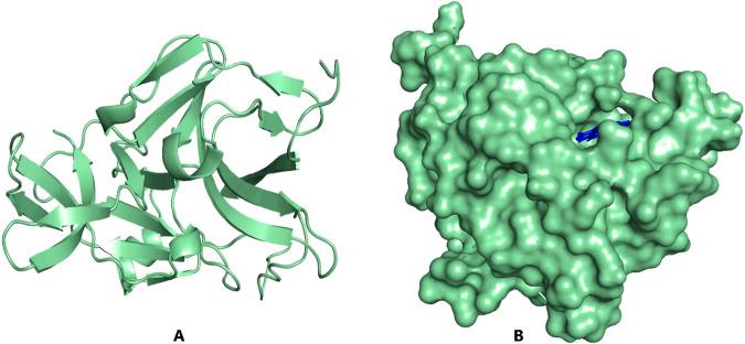 https://cdn.ncbi.nlm.nih.gov/pmc/blobs/88be/11703810/8ce13927489f/fchem-12-1510029-g003.jpg