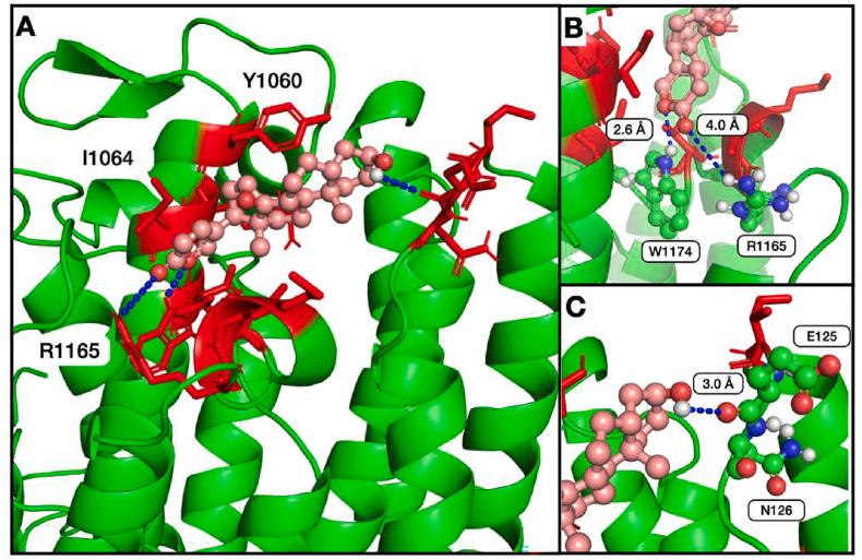https://cdn.ncbi.nlm.nih.gov/pmc/blobs/88be/9772263/300775c1a8c3/gr5.jpg