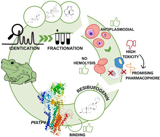https://cdn.ncbi.nlm.nih.gov/pmc/blobs/88be/9772263/39b81ac882df/ga1.jpg